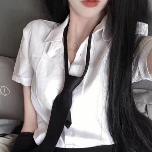 王朝的陷落